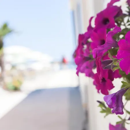 San Francisco Hotel 2*