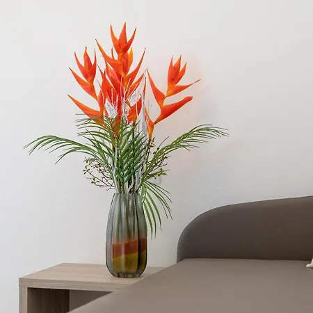 San Francisco ホテル リド・ディ・サヴィオ