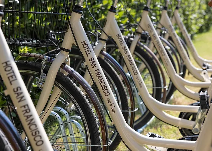 旧金山酒店 2* 丽都迪萨维奥