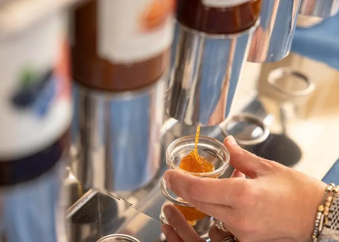 旧金山酒店 丽都迪萨维奥