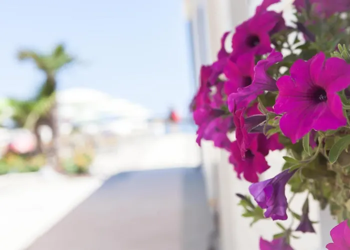 旧金山酒店 酒店 2*