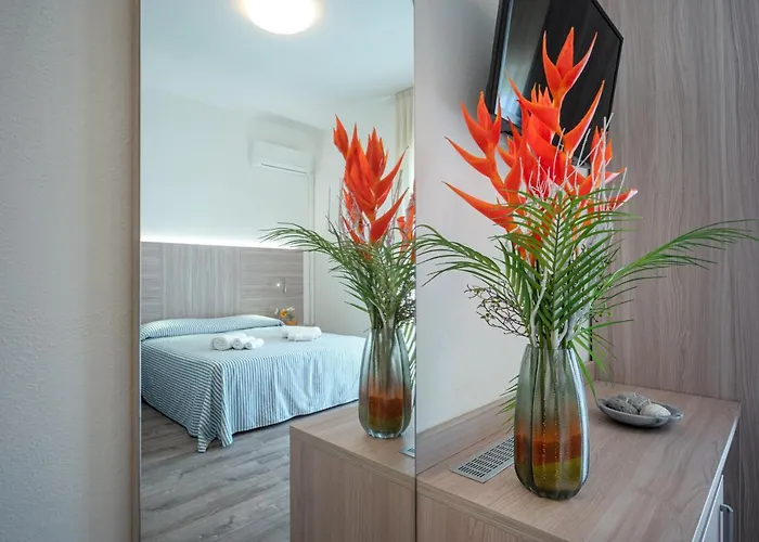 旧金山酒店 2* 丽都迪萨维奥